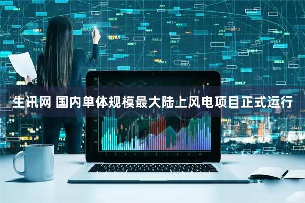 生讯网 国内单体规模最大陆上风电项目正式运行