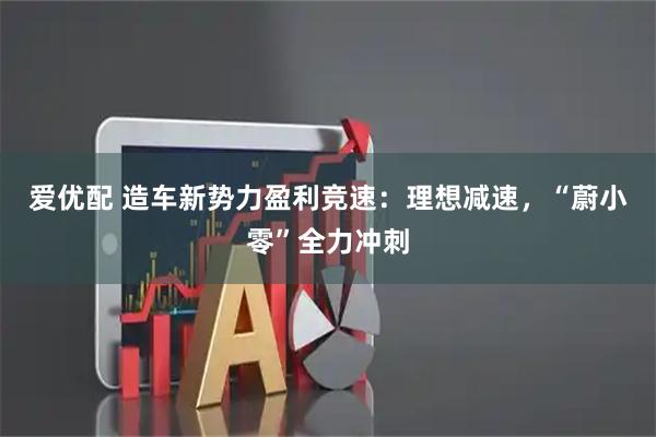 爱优配 造车新势力盈利竞速：理想减速，“蔚小零”全力冲刺