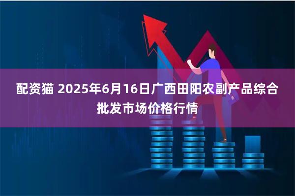 配资猫 2025年6月16日广西田阳农副产品综合批发市场价格行情