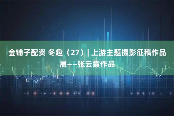 金铺子配资 冬趣(27)| 上游主题摄影征稿作品展——张云霞作品