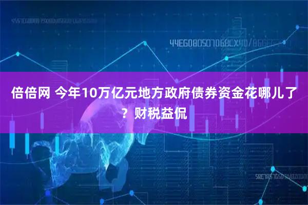 倍倍网 今年10万亿元地方政府债券资金花哪儿了？财税益侃